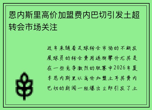 恩内斯里高价加盟费内巴切引发土超转会市场关注
